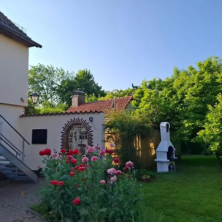 Stani * Eschwege